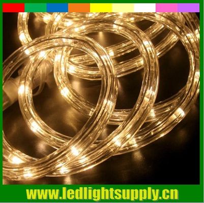 2 wire warm white christmas waterproof led rope light outdoor