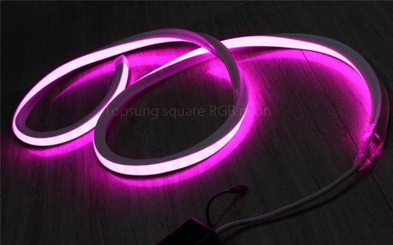 hot sale RGB 16*16m 127V flat neon led light made in China