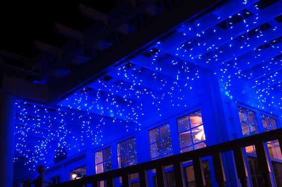 2016 new designed 240V christmas lights waterproof  outdoor icicle lights for buildings