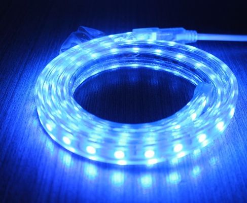 5050 AC strip lights 220V 60LED/M blue lighting