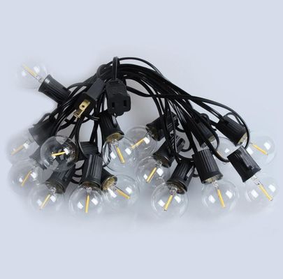 100Ft G40 Outdoor Led Light String Globe Bulbs Black Wire Connectable