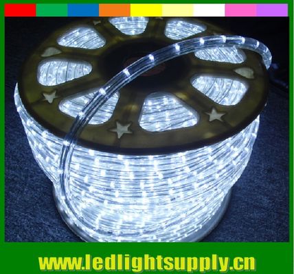 Led flexible led strip 1/2'' 2 wire rope duralights with low volt 24/12v
