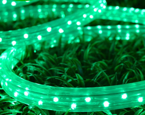 DIP 3 wires 11x17mm 110v flat led rope for xmas decoration