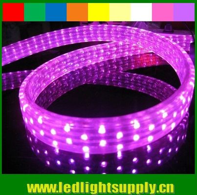 DIP 5 wires 11x20mm flat led rope lights waterproof IP65 110v/220v