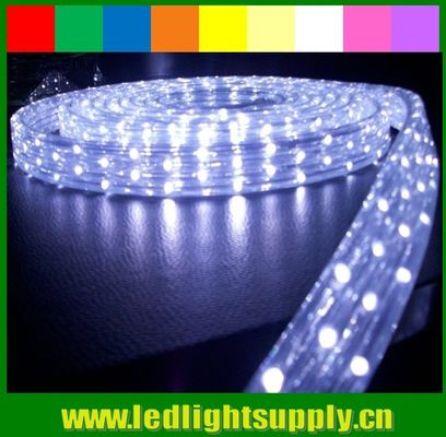 DIP 5 wires 11x20mm flat led rope lights waterproof IP65 110v/220v