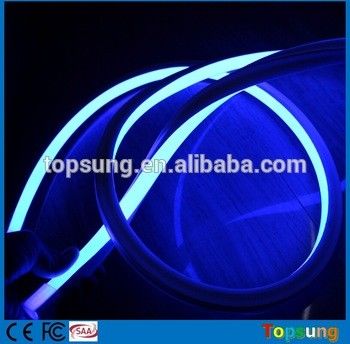 top quality square blue  neon flexible light 110v 120leds/m for outdoor building