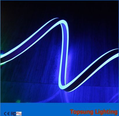 blue colour 220v high quality bi-sided neon lights for buliding