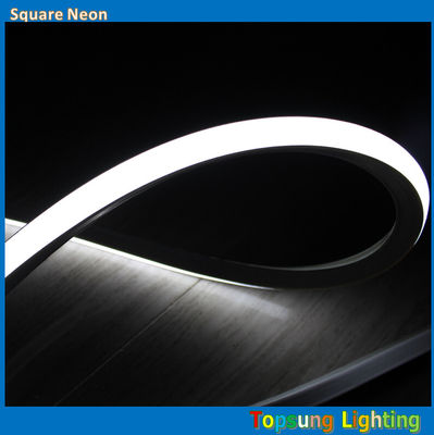 Amazing bright square 127v 16*16m white led neon  light for outdoor