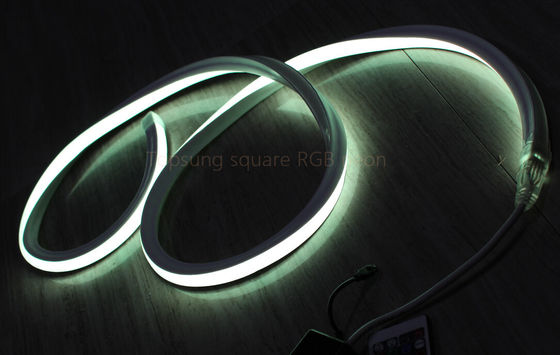 hot sale RGB 16*16m 127V flat neon led light made in China