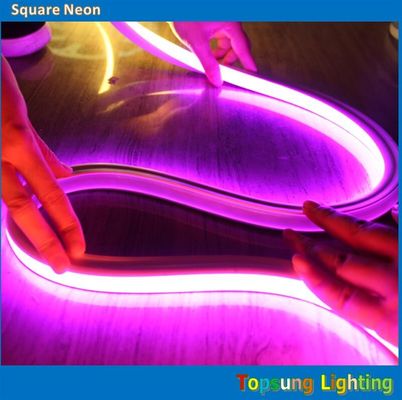Amazing bright 16*16m 24V flat pink neon light made in China