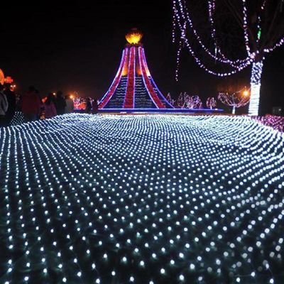 Top View 120v fairy buy christmas lights net for garden