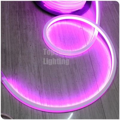 AC 220V high quality square pink led neon flexible light 230v 16x16mm for building decoration