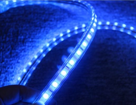 5050 AC strip lights 220V 60LED/M blue lighting