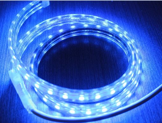 5050 AC strip lights 220V 60LED/M blue lighting