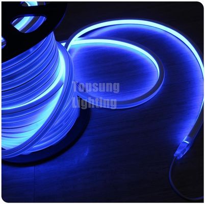 New design square blue 16*16m  220v flexible square led neon flex light