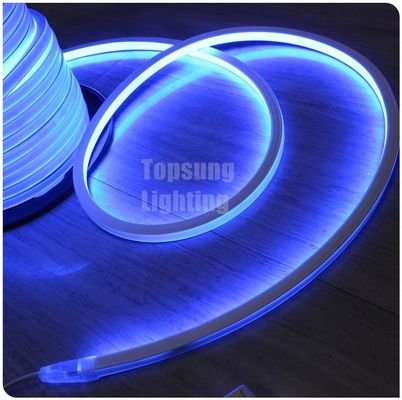 New design square blue 16*16m  220v flexible square led neon flex light