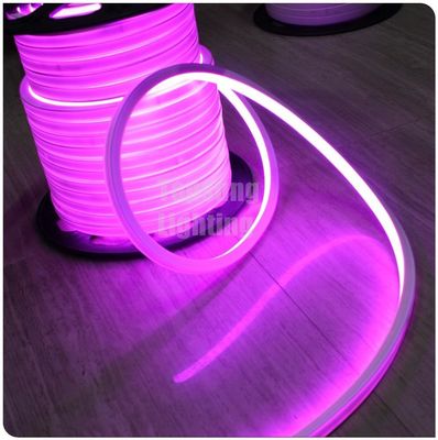 2016 new pink square 12v 16*16m LED neon flex light for room