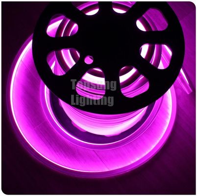 2016 new pink square 12v 16*16m LED neon flex light for room