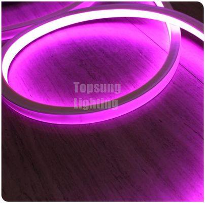 2016 new pink square 12v 16*16m LED neon flex light for room