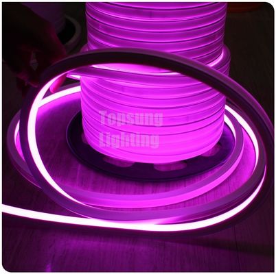 2016 new pink square 12v 16*16m LED neon flex light for room