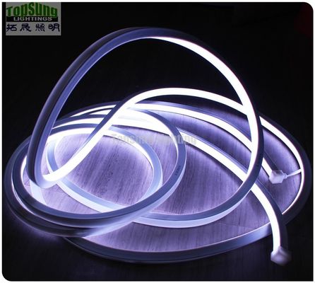 high quality square 24v 16*16m LED neon flex light RGB for decoration