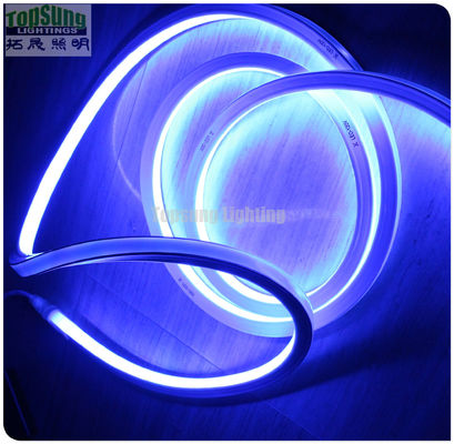 hot sale RGB 16*16m 127V flat neon led light made in China