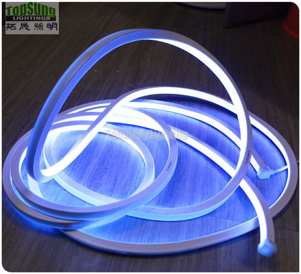 hot sale RGB 16*16m 127V flat neon led light made in China