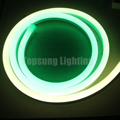 christmas dynamic flexible neon rope tube dome surface led pixel flex 24V