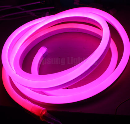 Mini RGB Digital Pixel Chasing Led Strip Neon Flex Rope Light 24v