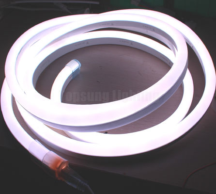 24v dynamic digital flexible neon led light strips colorful digital led neon light for sale