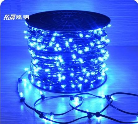 Christmas Tree Manufacturer IP65 LED String Lights 12V LED Clip Light for Australia