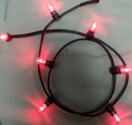 12v low power led clip light 100m/roll christmas lights led string Lights red rice strings 666 bulbs