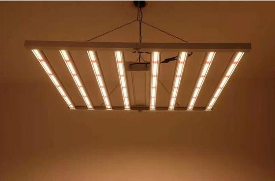 600W Indoor LED Grow Lights Led Plant Lights IP65 Sambead 6 Bar CUL Driver