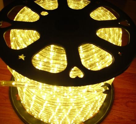 LED rope flexible light 12/24v multicolor 1/2'' 2 wire duralight