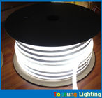 Various colors 10*18mm size led neon light with 110/220/24 voltage