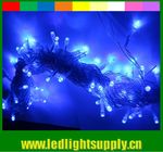 home christmas decoration AC powered led fairy string lights