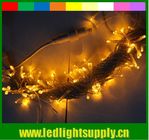 christmas RGBY led string light fairy AC powered for decoration