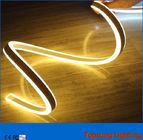 12v high quality outdoor blue double side led neon flexible light