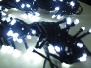 2016 new 24v white string lights for bedroom 10meter