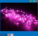 Durable purple christmas led outdoor 24v 10meter