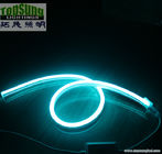 mini size RGB led neon flex 10*18mm full color changing neon light 110V  SMD5050