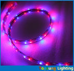 Hot sale 5050 smd 60LED/m blue strip flexible led ribbon 110V AC LED strip