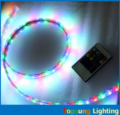 whole sale 220V 50 meter RGB spool chasing  led strip 5050 SMD trade 60LED/m