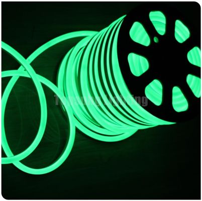 colorful outdoor decoration 14*26mm ledneon flex lights