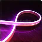 11x19mm Mini led Flex neon 12V with colorful Pink for bridge architecture swimming pool light building room