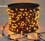 Customized 2200K Christmas 12V LED Fairy Clip String Lights for Outdoor Tree Decorations