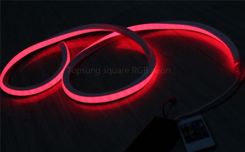 hot sale square red 24v 16*16m LED neon flex light  for decoration