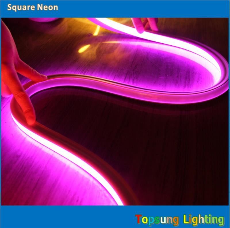 Amazing bright 16*16m 24V flat pink neon light made in China