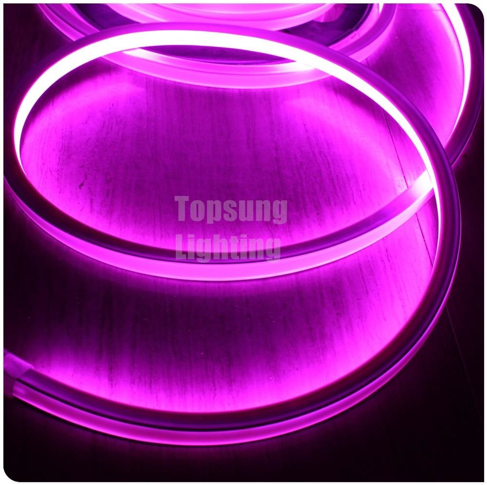 Pink Led Square 2016 new pink square 12v 16*16m LED neon flex light for room