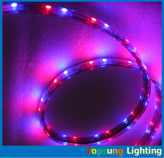 whole sale 220V 50 meter RGB spool chasing led strip 5050 SMD trade 60LED/m
